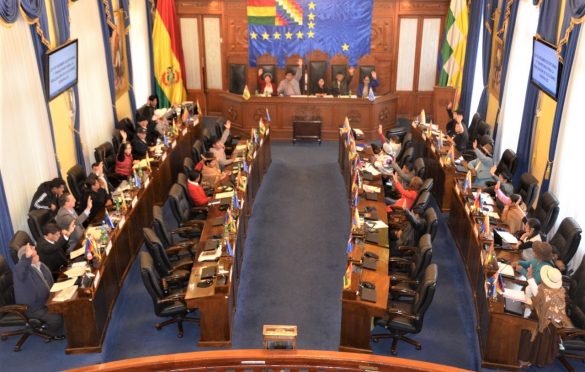 El Senado aprobó la ley transitoria para las elecciones generales 2020 y la remitió a Diputados para su sanción