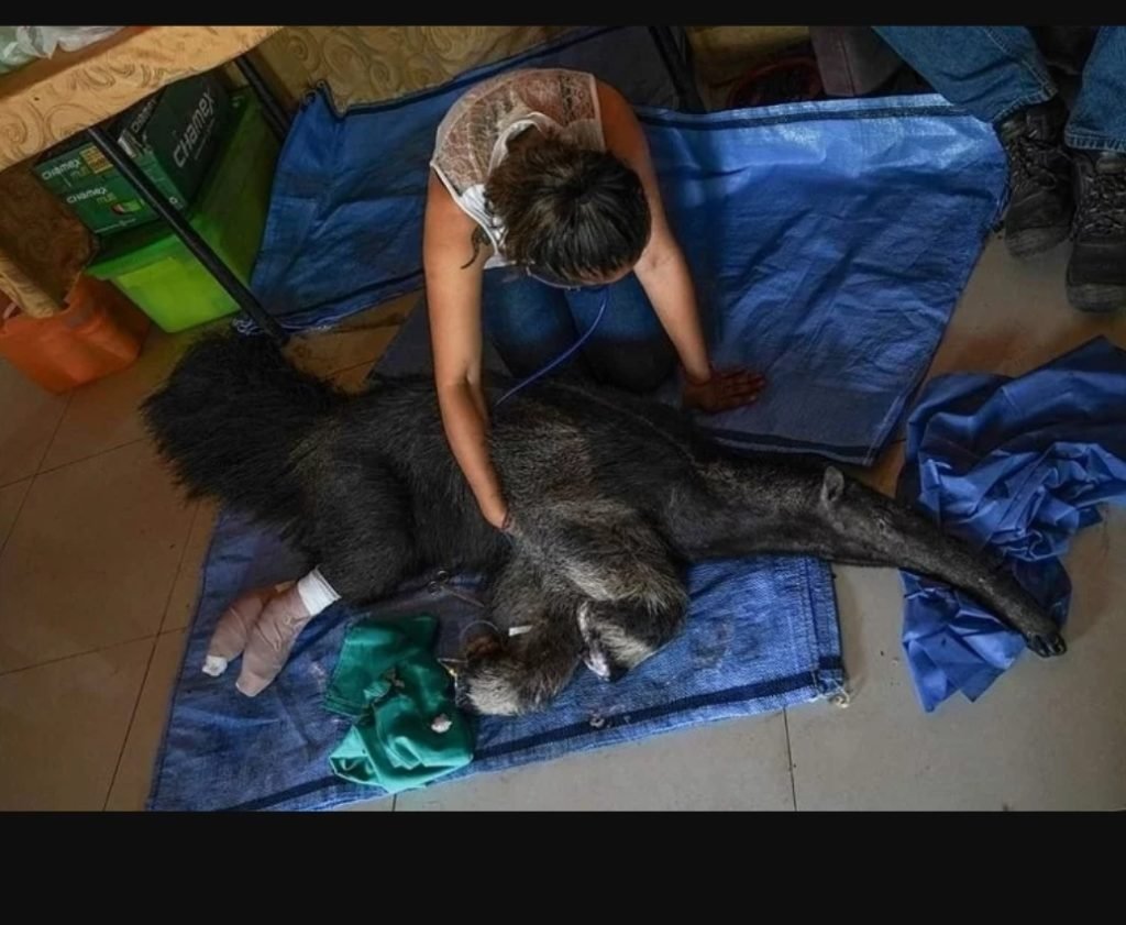 Conmoción por la muerte violenta de valentina