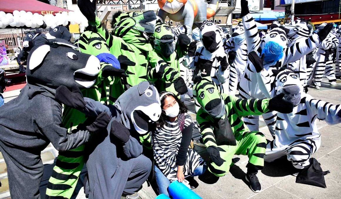 Concejo Municipal aprueba continuidad del programa Cebras Educadores Urbanos