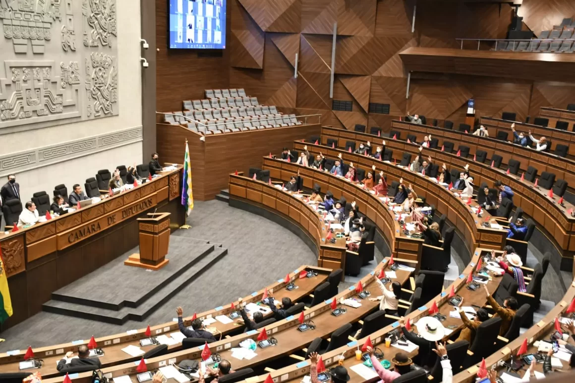 El pleno de la Cámara de Diputados aprueba ley para las judiciales y la remite al Senado