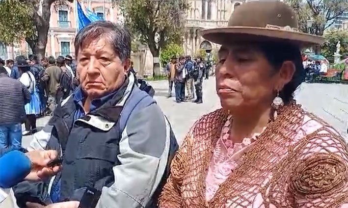 Cholita San es agredida con picota y machete para quitarle su terreno, la culpan de ser seguidora de Jaime Soliz