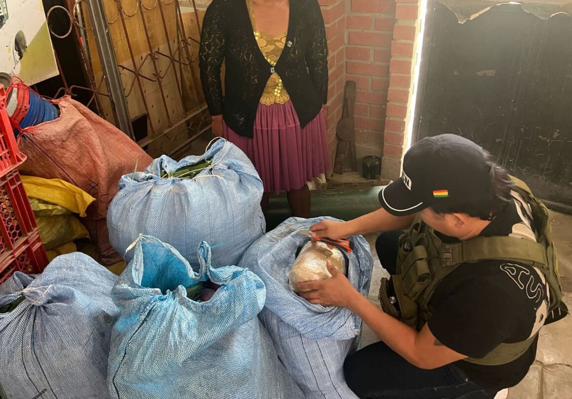 La FELCN descubre en Cochabamba 32 kilos de droga camuflados en sacos de cebolla