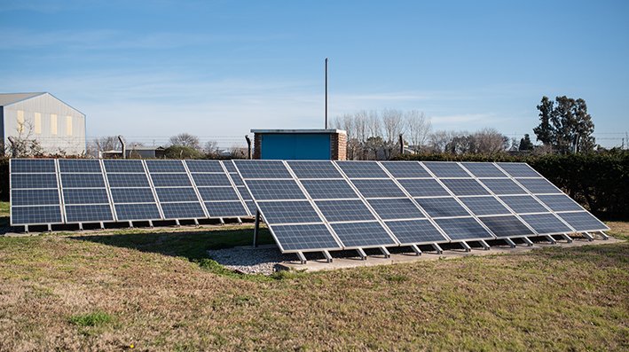 27 de septiembre, Día de la Conciencia Ambiental: Acciones que cuidan del planeta