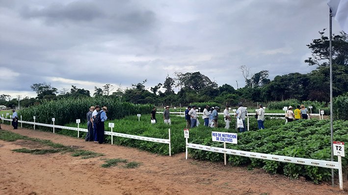 Exposoya reafirma la innovación en prácticas agrícolas sostenibles para aumentar la producción de alimentos