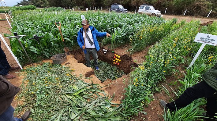 Hacia el Día Nacional de la Agricultura Sostenible, ANAPO promueve prácticas que protegen el suelo