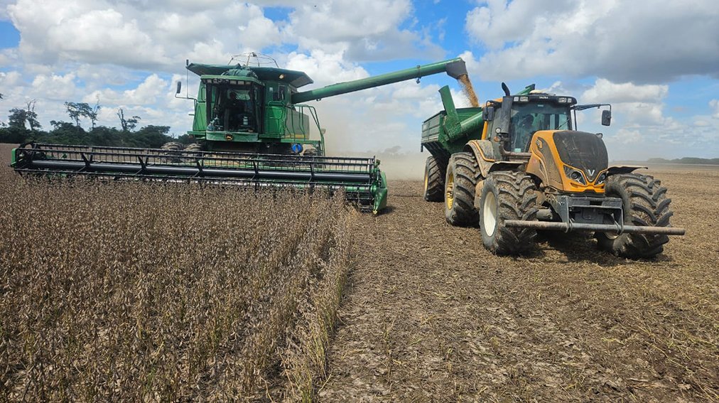 Anapo aplaude los esfuerzos para mejorar el abastecimiento de diésel y pide combatir el mercado negro