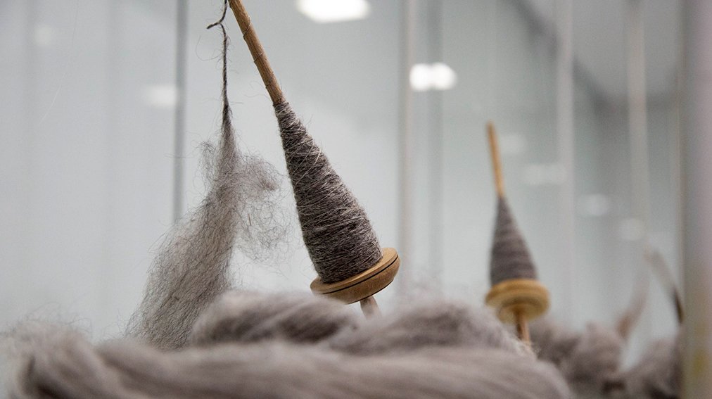 El Musef presenta “T’arwa ch’iwjamaw, fibras como las nubes”: un hito para la investigación textil boliviana y una nueva exposición dedicada a las fibras de camélidos