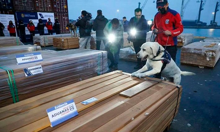 Chile incauta más de 100 toneladas de droga ocultas en madera procedente de Bolivia en histórico operativo