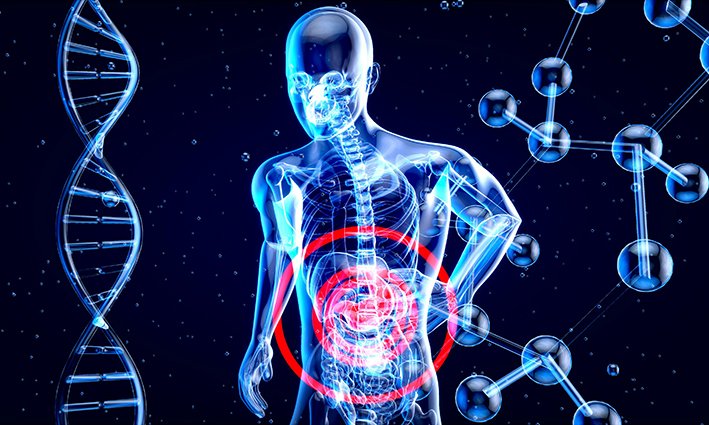 Identifican una nueva vía para potenciar la inmunoterapia contra el cáncer de hígado