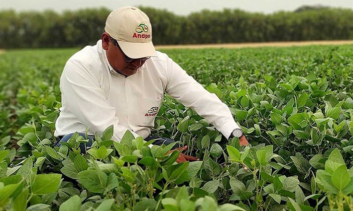 Anapo organiza en Santa Cruz el primer Congreso Internacional de Agricultura Sostenible
